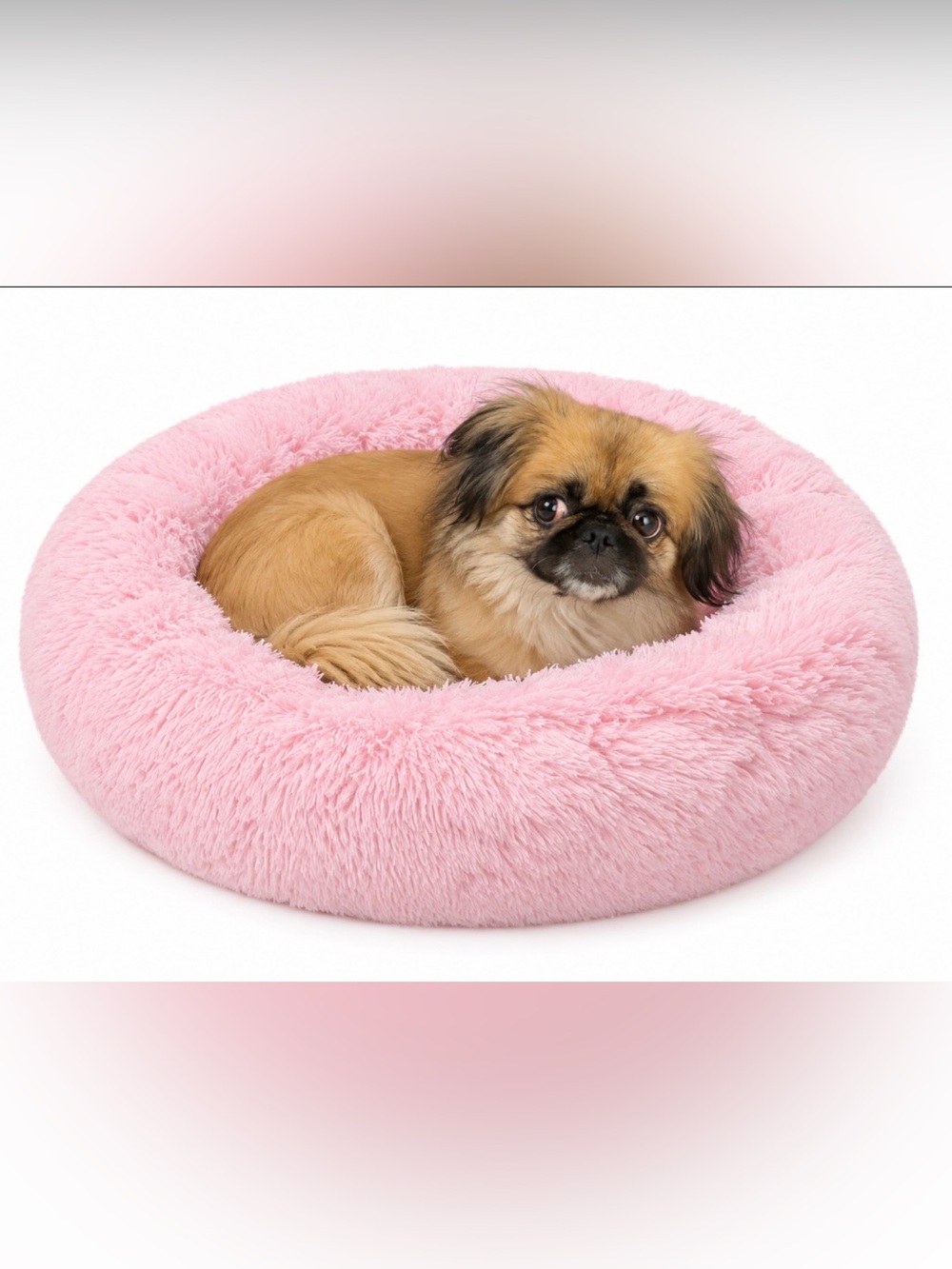 NOYAL Calming Dog Bed